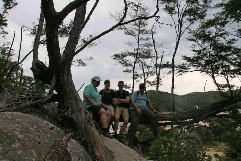 Nieuw-Zeeland 2011 - 1041